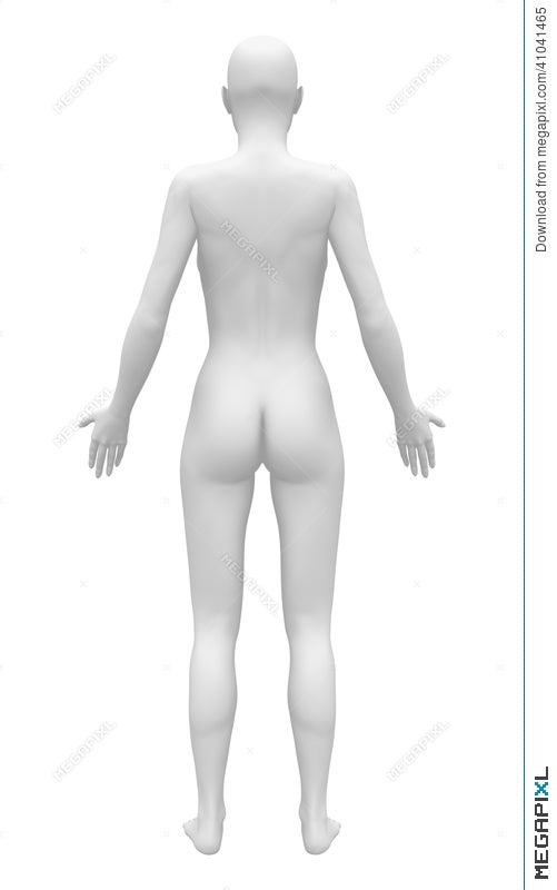 Blank Anatomy Female Figure Back View Illustration 41041465 Megapixl