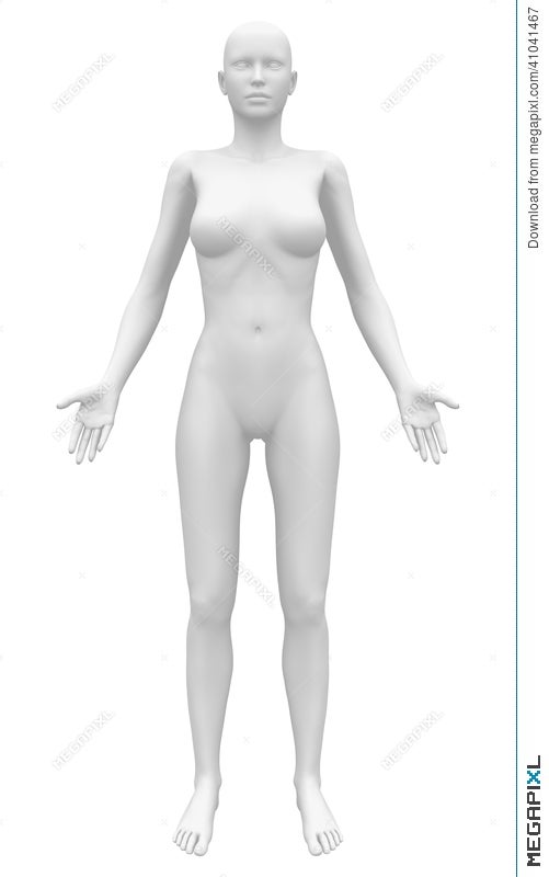 female human body diagram blank