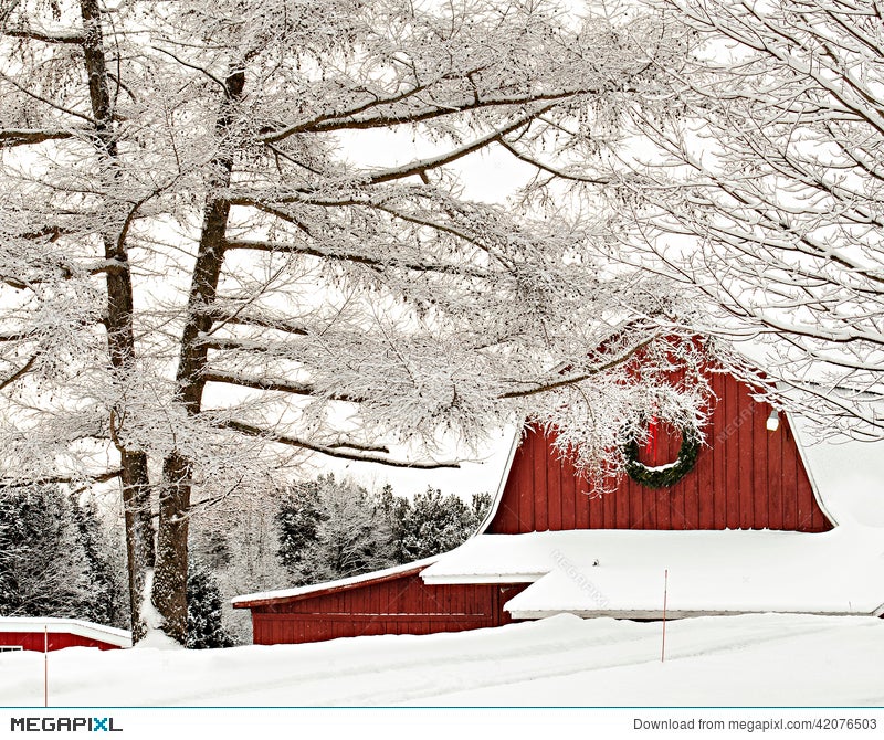 Red Barn With Snow Covered Trees In Winter Stock Photo 42076503