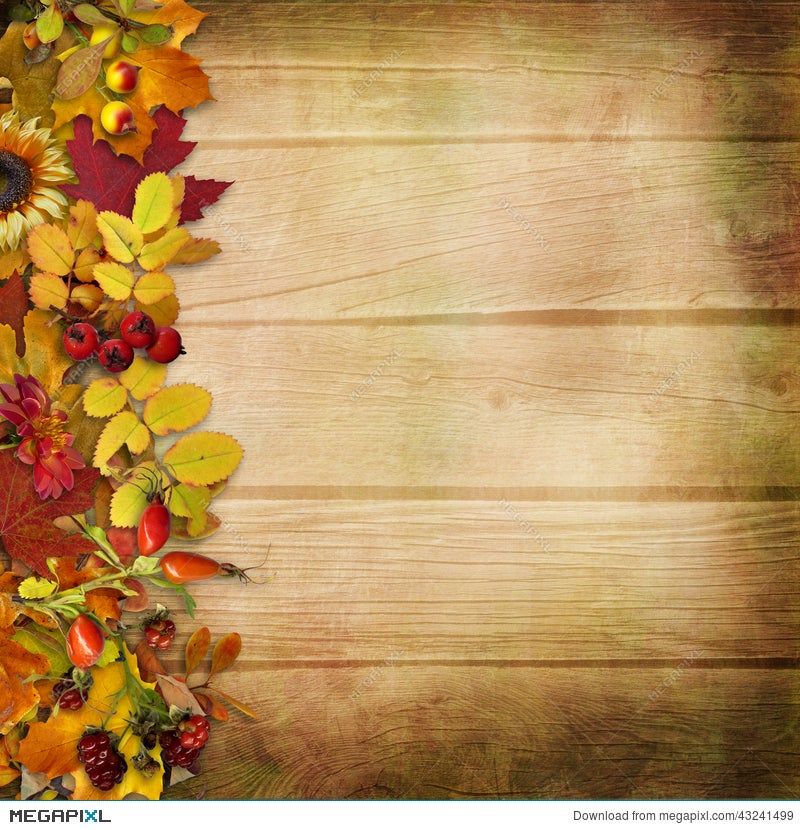 Border Of Autumn Leaves And Berries On A Wooden Background Illustration  43241499 - Megapixl