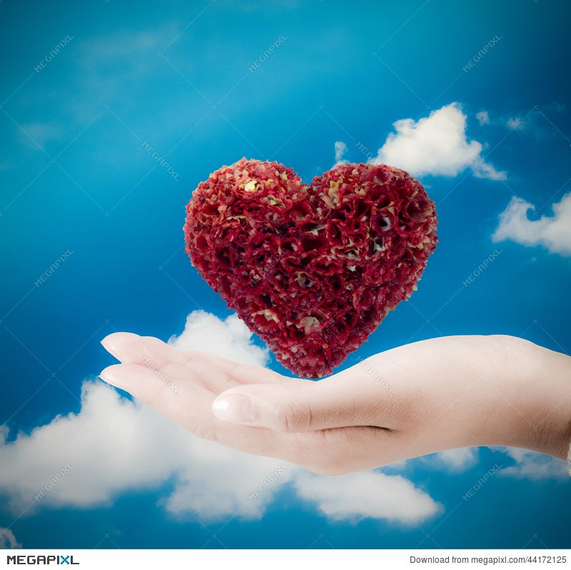 Heart On Hand Heart On The Palm Love Symbol Stock Photo Megapixl