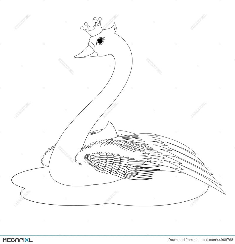 baby swan coloring pages