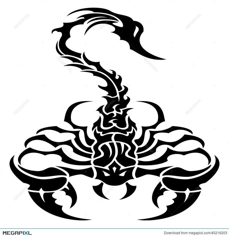 Tribal Scorpion Tattoo Illustration 45216203 - Megapixl