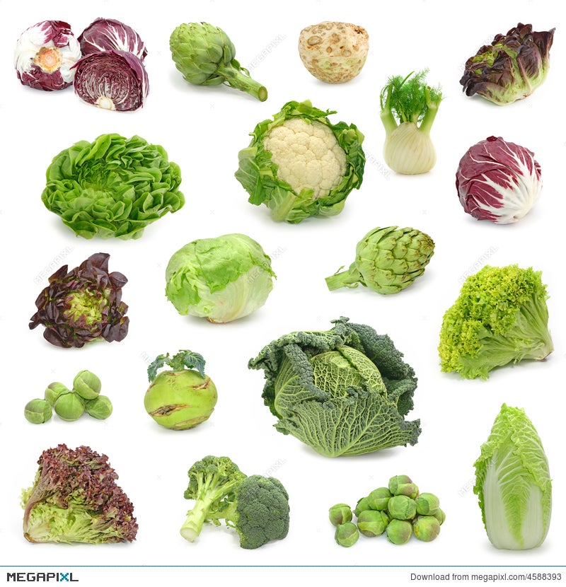 Cabbage And Green Vegetable Collection Stock Photo 4588393 - Megapixl
