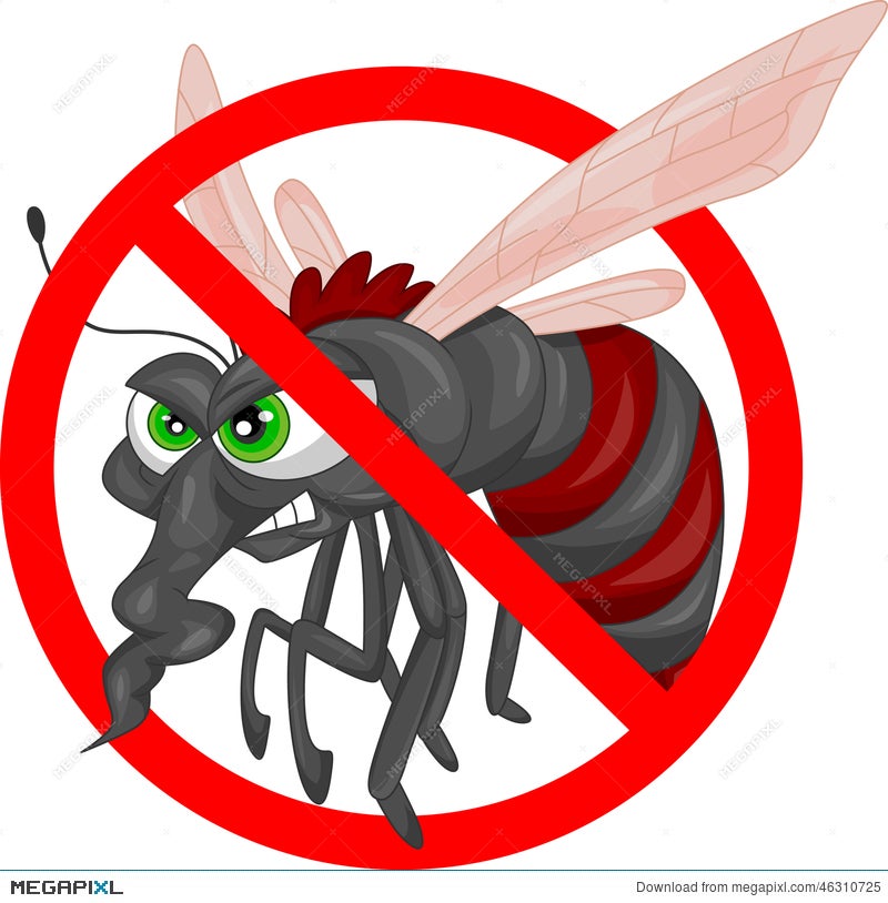 Angry Mosquito Cartoon Illustration 46310725 - Megapixl