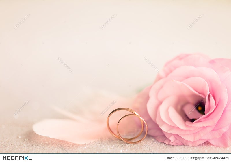 Wedding Background With Gold Rings Gentle Flower And Light Pin Stock Photo 48024459 Megapixl