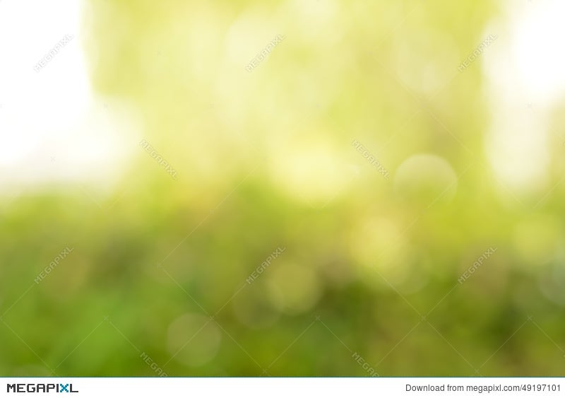 Abstract Yellow & Green Blur Background With Lens Flare Effect Stock Photo  49197101 - Megapixl