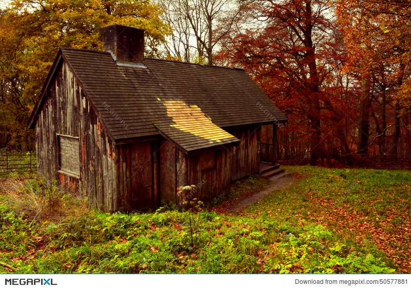 Old Abandoned Cabin In The Woods Of Ashridge Estate Hertfordshire