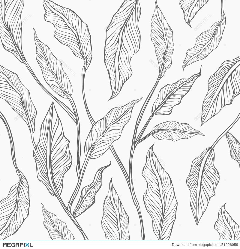 How to shade leaves with pencil  How to draw leaf step by step  Foliage  drawing  YouTube