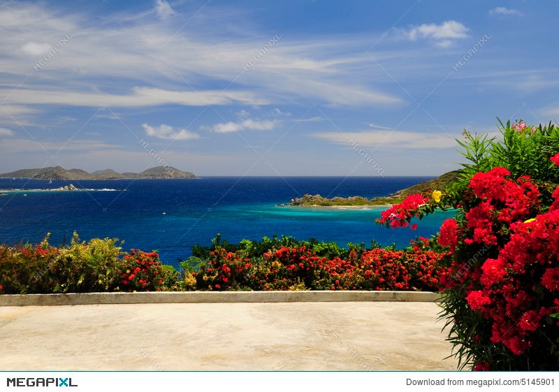 Flowers By The Beach Stock Photo 5145901 Megapixl Flowers By The Beach