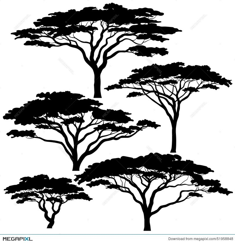 thorn bush silhouette clipart