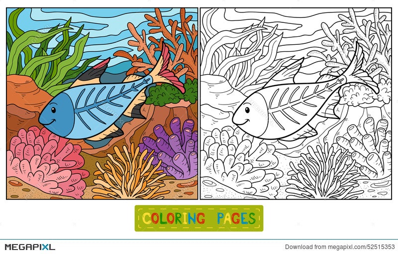 Download Coloring Book X Ray Fish Illustration 52515353 Megapixl