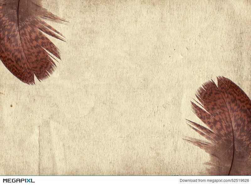 vintage feather background