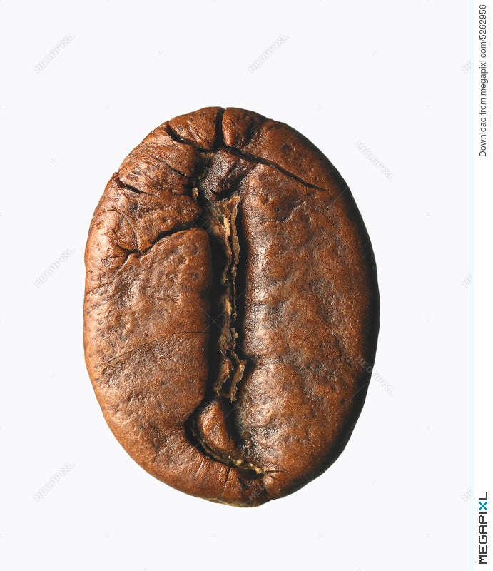 single coffee bean