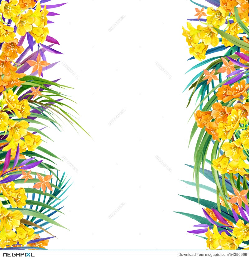 Download Tropical Flowers Leaves Watercolor Illustration Illustration 54390966 Megapixl