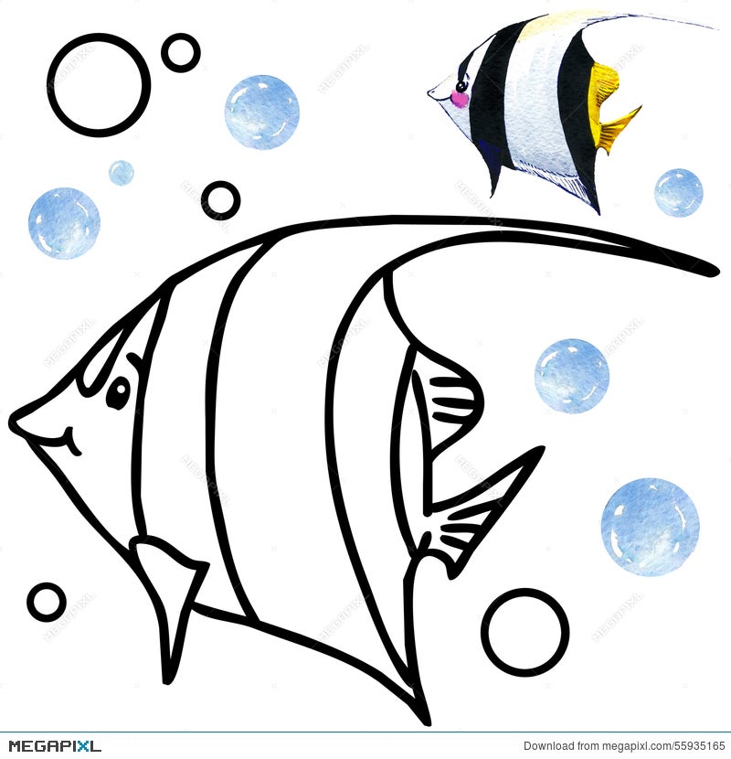 Coloring Book Coral Reef Fauna. Cartoon Fish Illustration For Kid  Entertainment Illustration 55935165 - Megapixl