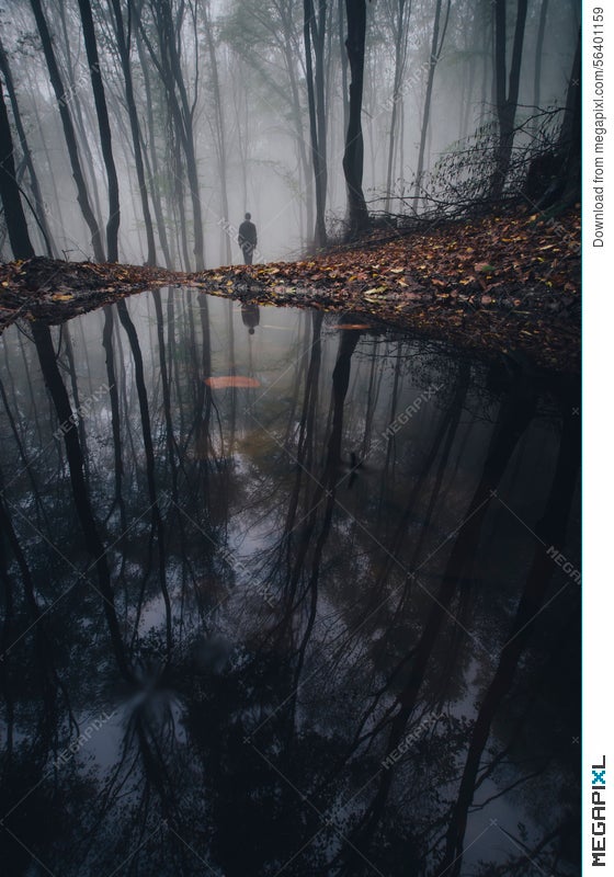Man Near Lake In Mysterious Forest With Fog Stock Photo Megapixl