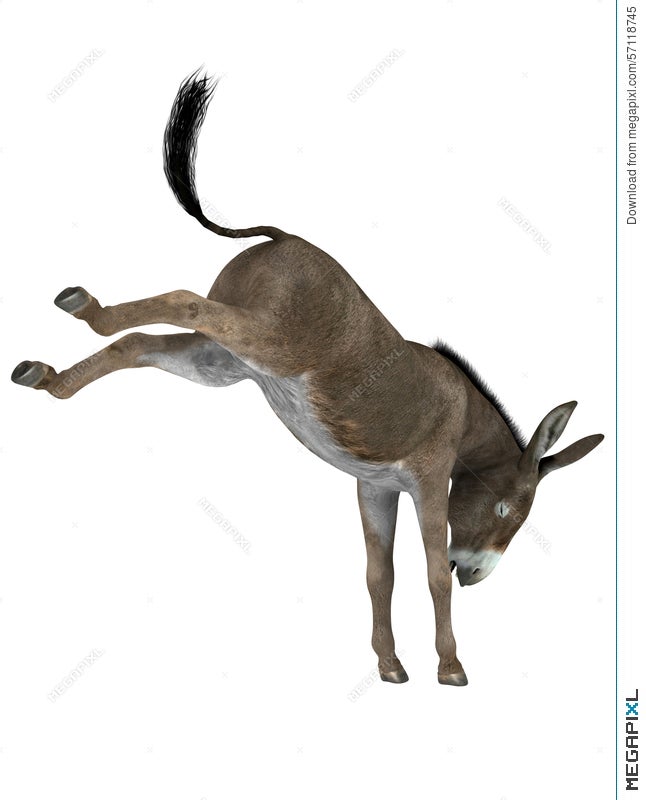 donkey kick clipart