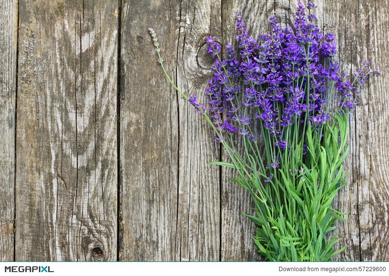 Wood Lavender Flowers Background Stock Photo 57229600 - Megapixl