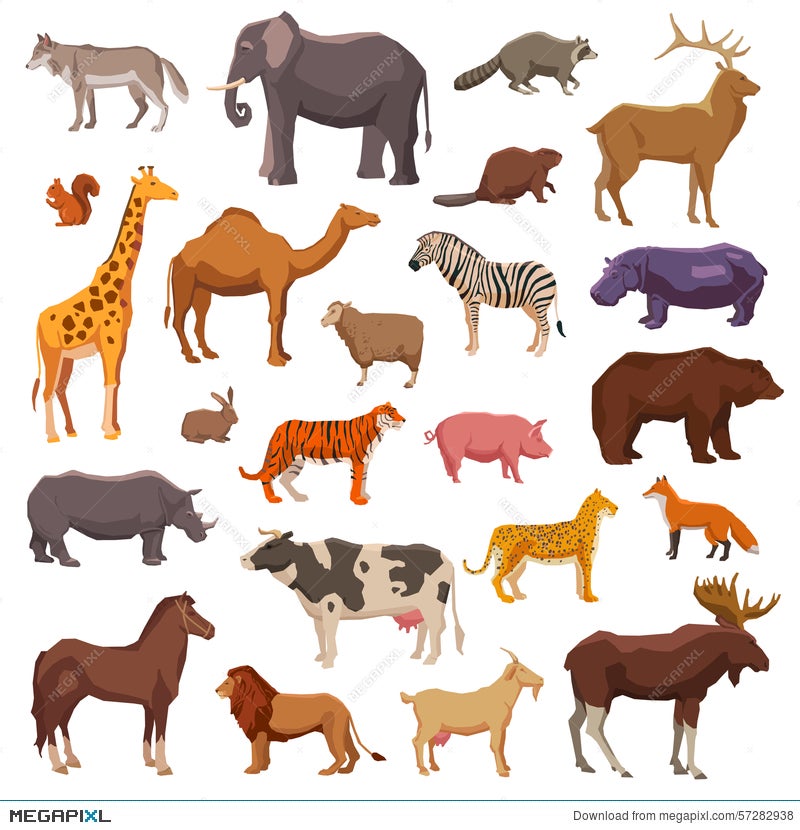 Big Animals Set Illustration 57282938 - Megapixl