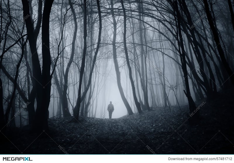 Man Walking In Halloween Mysterious Forest With Fog Stock Photo Megapixl