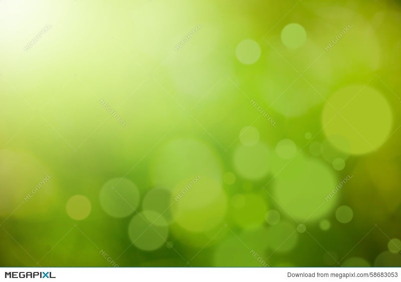 Green Leaves, Green Glare, Abstract Leaves, Creative, Abstract
