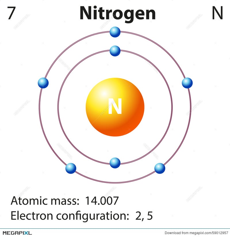 Create The Atomic Orbital Diagram For Nitrogen General