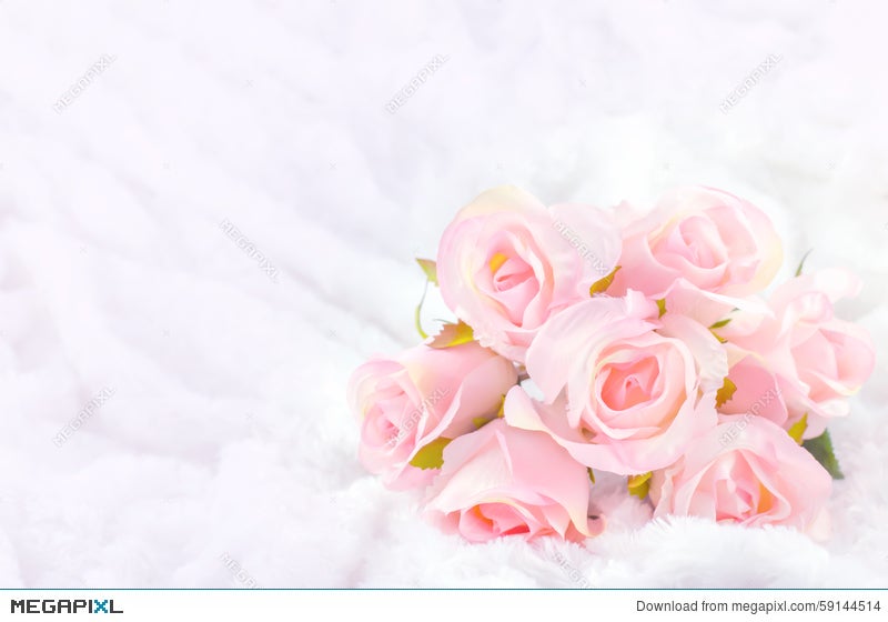 Pastel Coloured Artificial Pink Rose On White Fur Background Stock