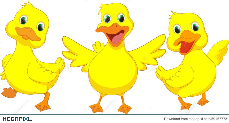 Happy Duck Cartoon Illustration 59157773 - Megapixl