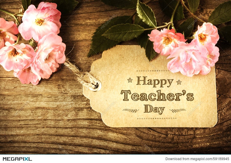 Happy Teachers Day Message With Pink Roses Stock Photo 59189945 - Megapixl