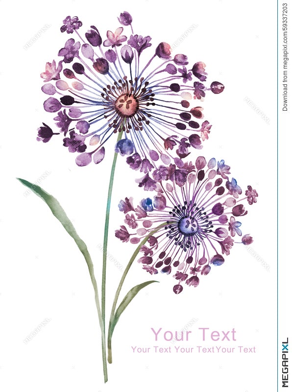 Watercolor Illustration Flower Bouquet In Simple Background Illustration  59337203 - Megapixl