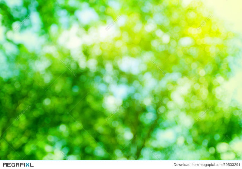 Helt tør Canada marathon Abstract Background Green Tree Bokeh, Blur Nature Stock Photo 59533291 -  Megapixl