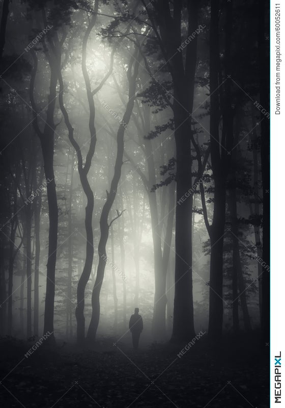 Man In Dark Mysterious Forest With Fog On Hallooween Stock Photo Megapixl