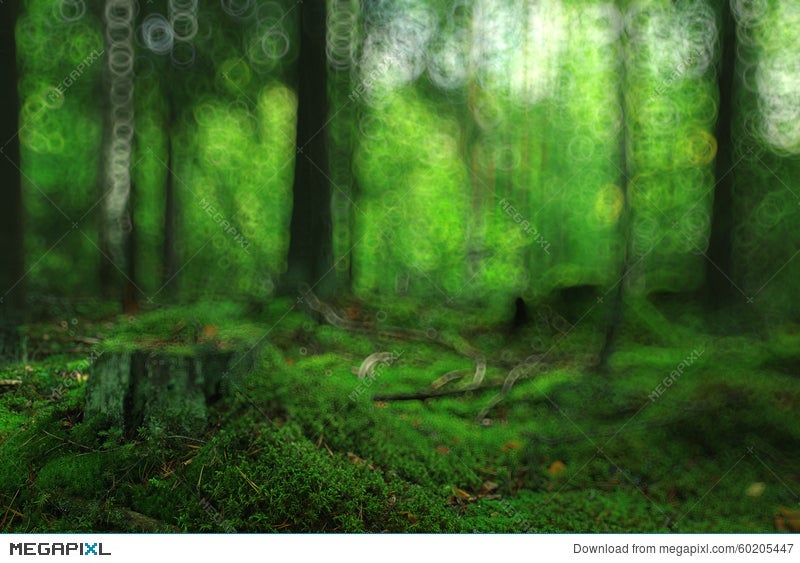 Summer Forest Blurred Texture Stock Photo 60205447 - Megapixl