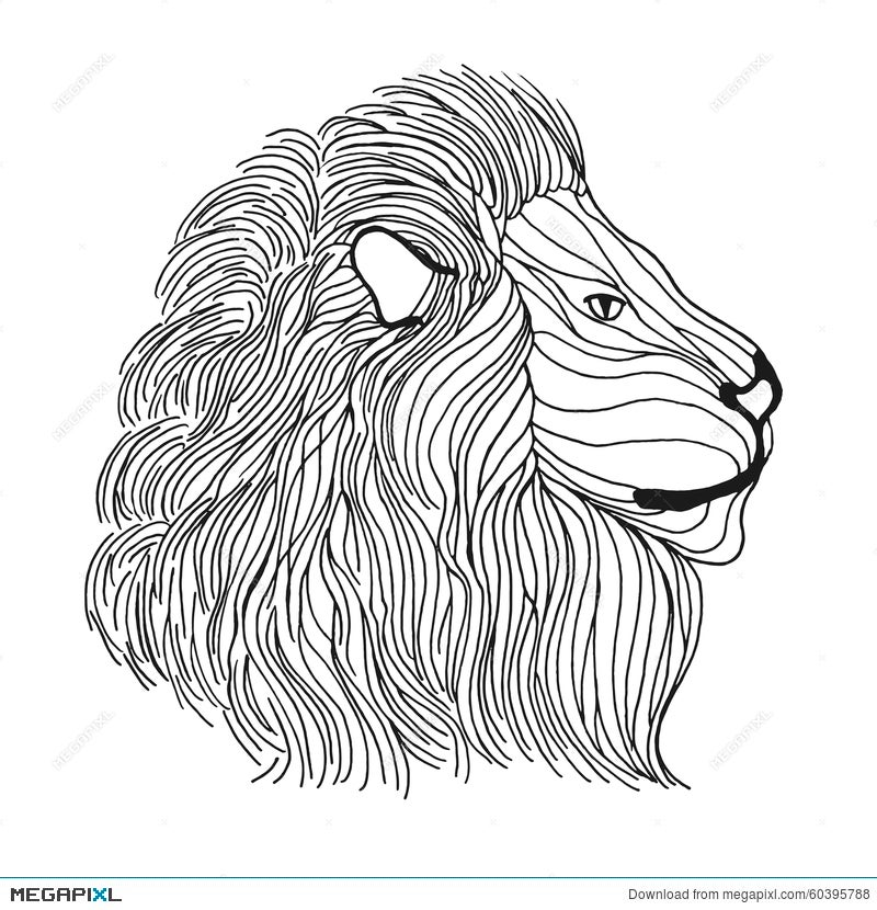 Hand Drawn Lion Head Tattoo Stock Vector Royalty Free 575360158   Shutterstock