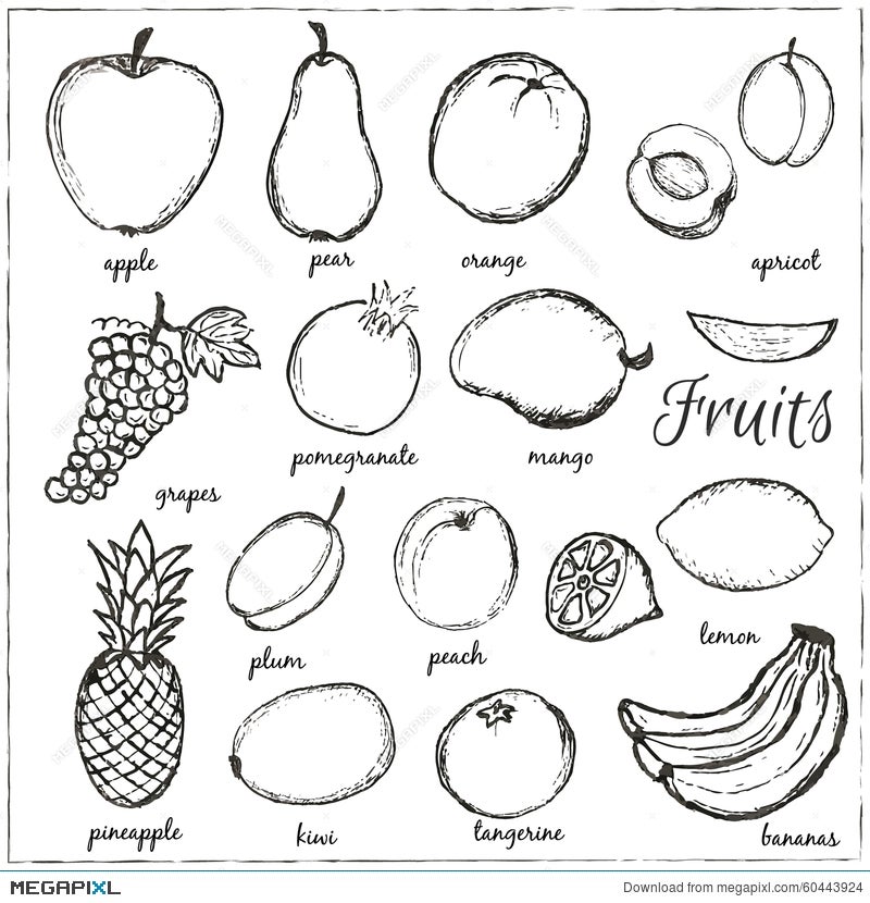 fruits and vegetables drawing with name