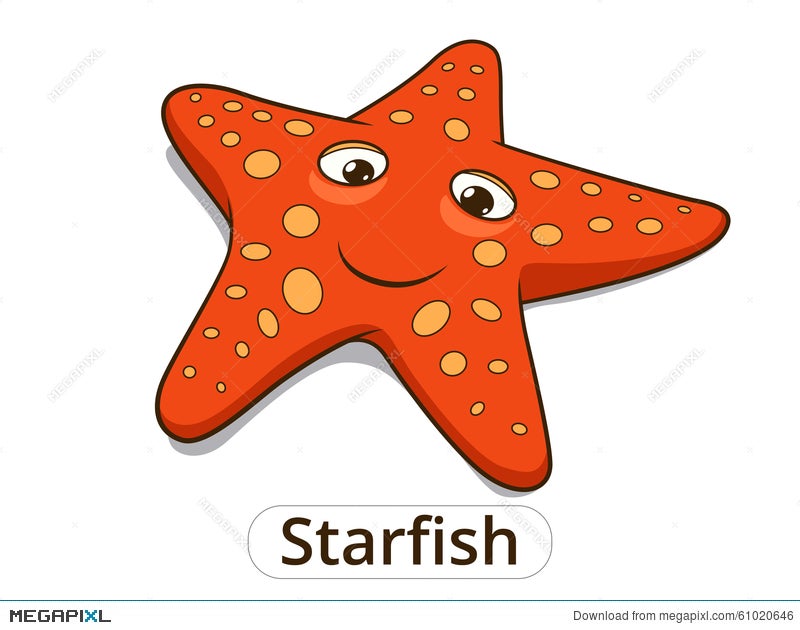 Starfish Sea Fish Cartoon Illustration Illustration 61020646 - Megapixl