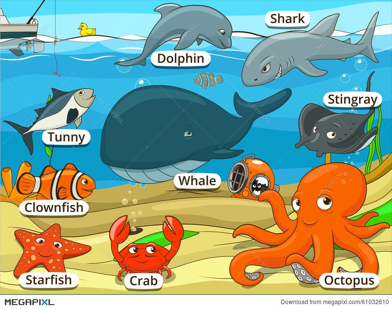 Underwater Animals And Fish With Names Cartoon Illustration 61032610 -  Megapixl