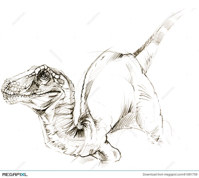 Dinosaurs Names. Vector & Photo (Free Trial) | Bigstock