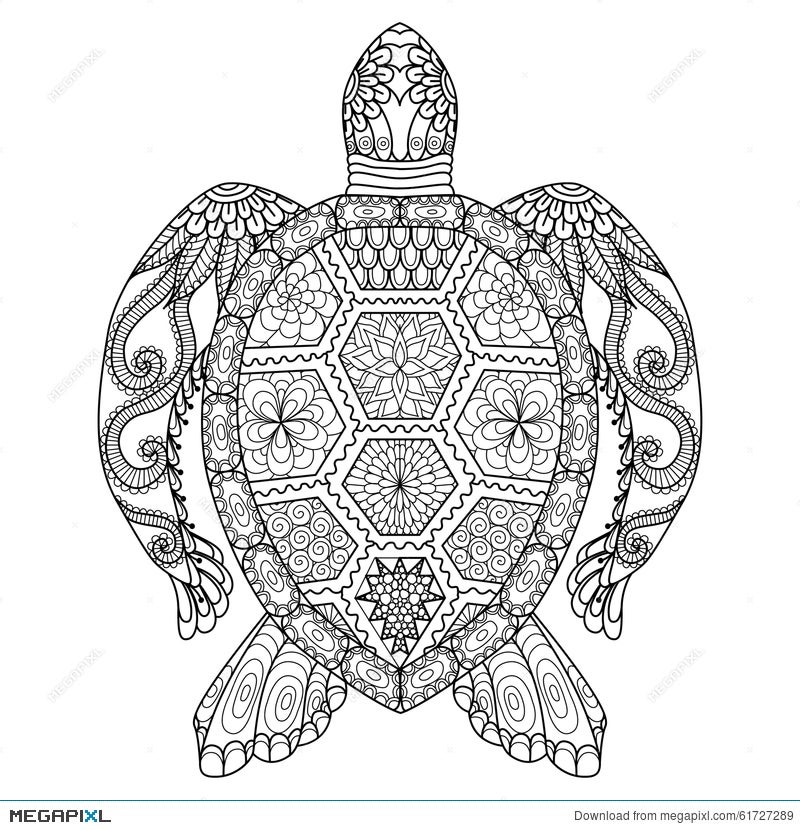 drawing zentangle turtle for coloring page shirt design effect drawing zentangle turtle for coloring page shirt design effect