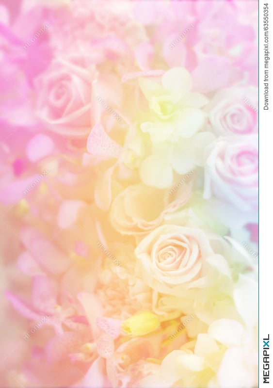 Variety Flower Background In Pastel Color Stock Photo 63550354 - Megapixl