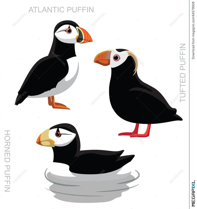 Bird Puffin Set Cartoon Illustration 64578908 - Megapixl