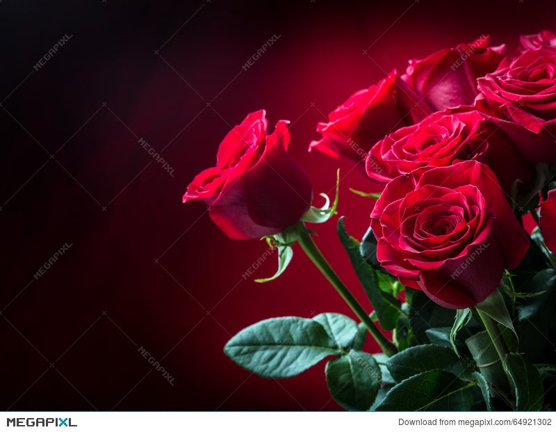 Rose. Red Roses. Bouquet Of Red Roses. Several Roses On Granite Background.  Valentines Day, Wedding Day Background. Stock Photo 64921302 - Megapixl