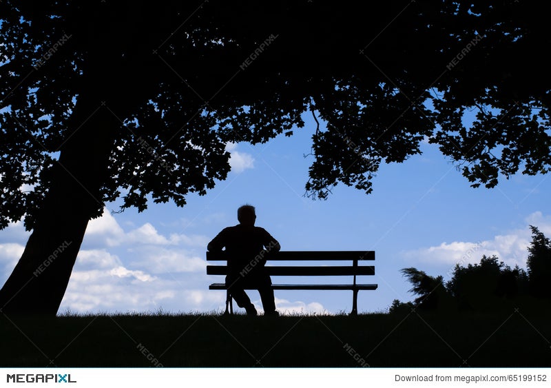 Old Man Sitting Alone On Park Bench Under Tree Stock Photo Megapixl