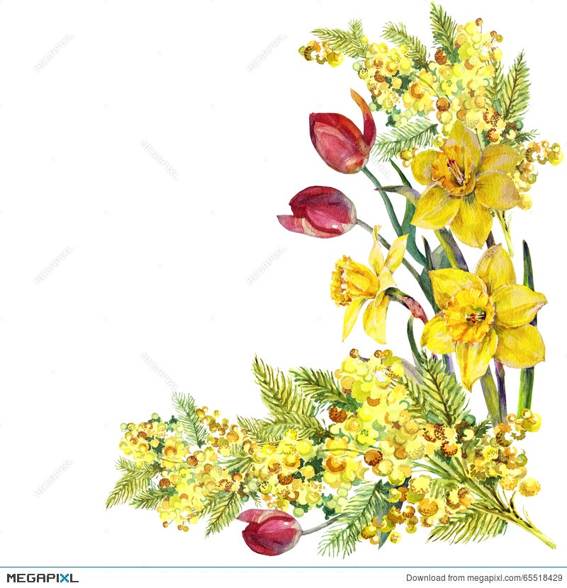 mimosas clipart of flowers