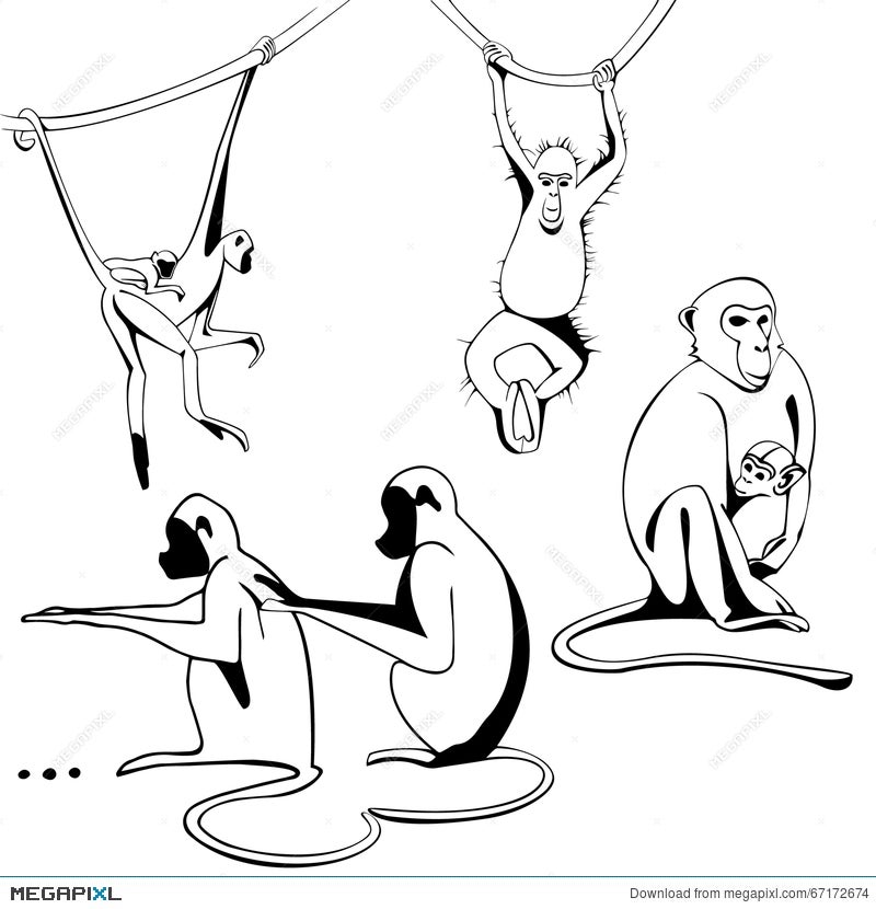cute hanging monkey outline