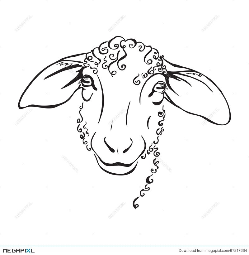 Share more than 84 sheep face sketch super hot - seven.edu.vn