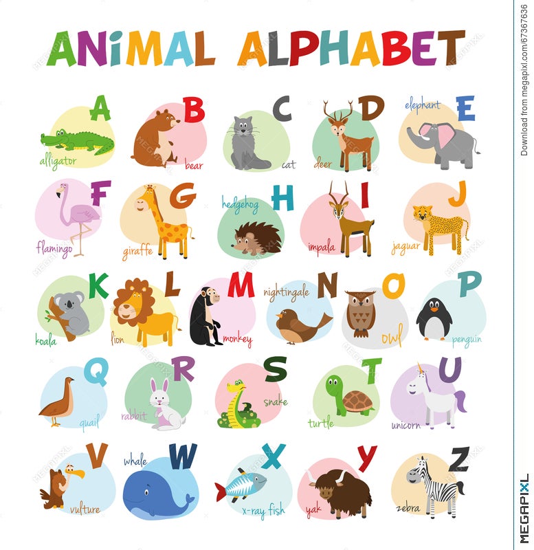 Cute Cartoon Zoo Illustrated Alphabet With Funny Animals. English Alphabet.  Illustration 67367636 - Megapixl