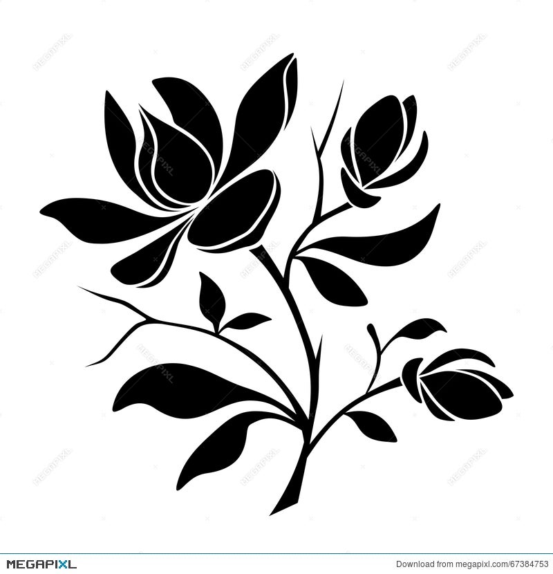 Magnolia Flowers Vector Black Silhouette Illustration 67384753 Megapixl