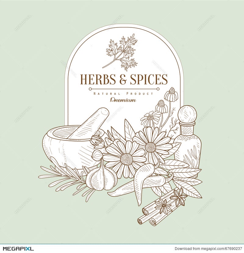100000 Spices sketch Vector Images  Depositphotos